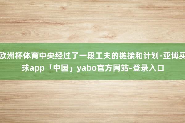 欧洲杯体育中央经过了一段工夫的链接和计划-亚博买球app「中国」yabo官方网站-登录入口