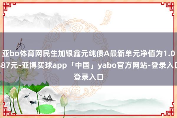 亚bo体育网民生加银鑫元纯债A最新单元净值为1.0487元-亚博买球app「中国」yabo官方网站-登录入口
