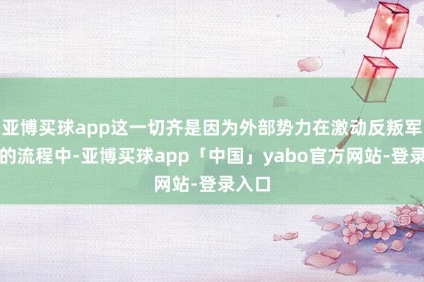 亚博买球app这一切齐是因为外部势力在激动反叛军得手的流程中-亚博买球app「中国」yabo官方网站-登录入口