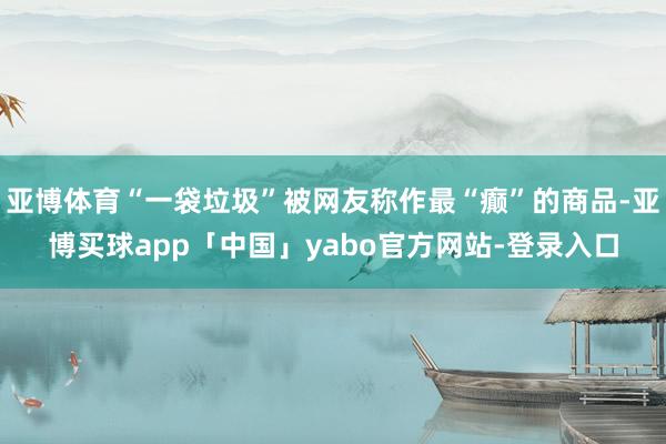 亚博体育“一袋垃圾”被网友称作最“癫”的商品-亚博买球app「中国」yabo官方网站-登录入口