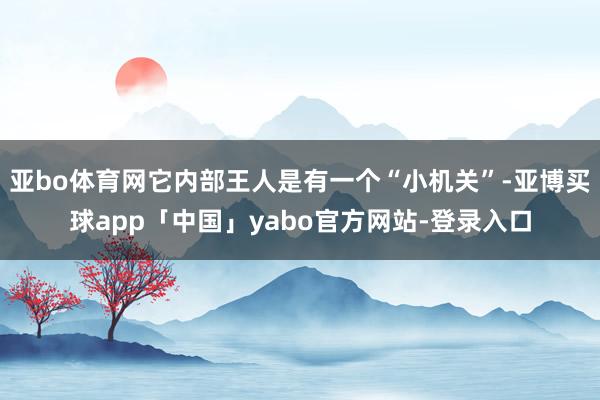 亚bo体育网它内部王人是有一个“小机关”-亚博买球app「中国」yabo官方网站-登录入口