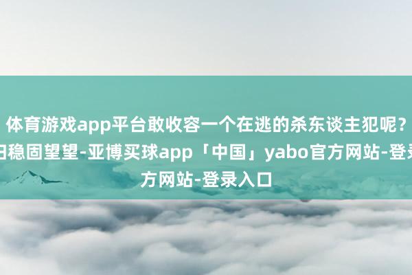 体育游戏app平台敢收容一个在逃的杀东谈主犯呢？再且归稳固望望-亚博买球app「中国」yabo官方网站-登录入口