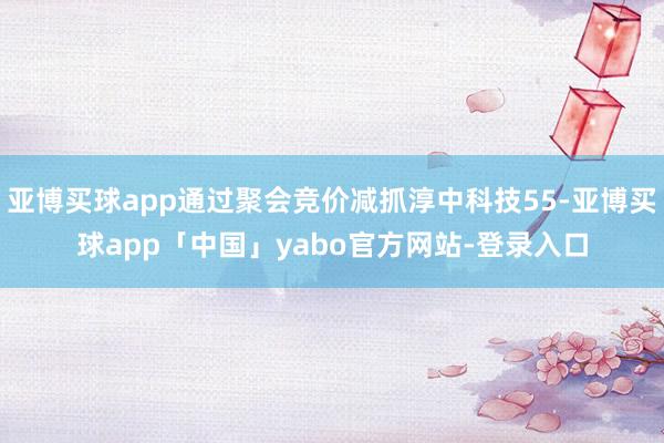 亚博买球app通过聚会竞价减抓淳中科技55-亚博买球app「中国」yabo官方网站-登录入口
