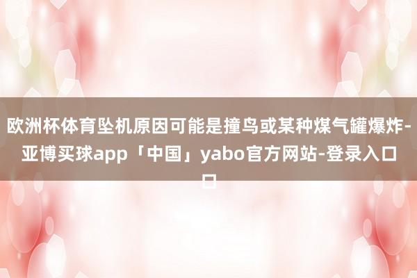欧洲杯体育坠机原因可能是撞鸟或某种煤气罐爆炸-亚博买球app「中国」yabo官方网站-登录入口